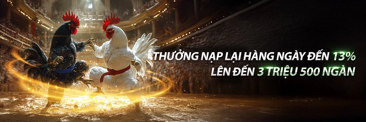 Đá Gà Trực Tiếp Thomo 23 tại Win2026VN